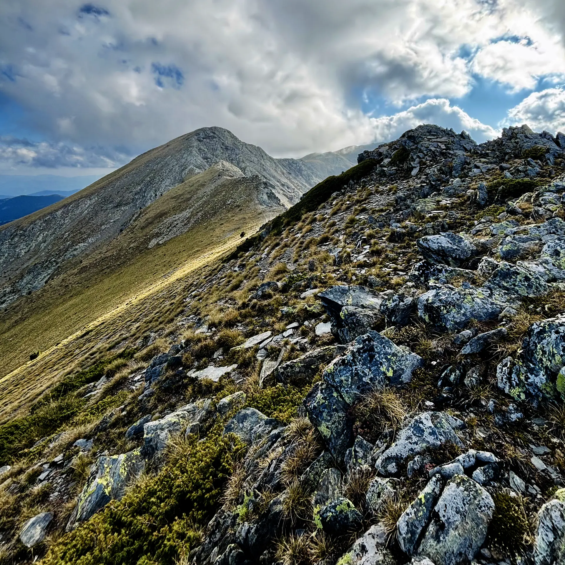 Guía de montaña