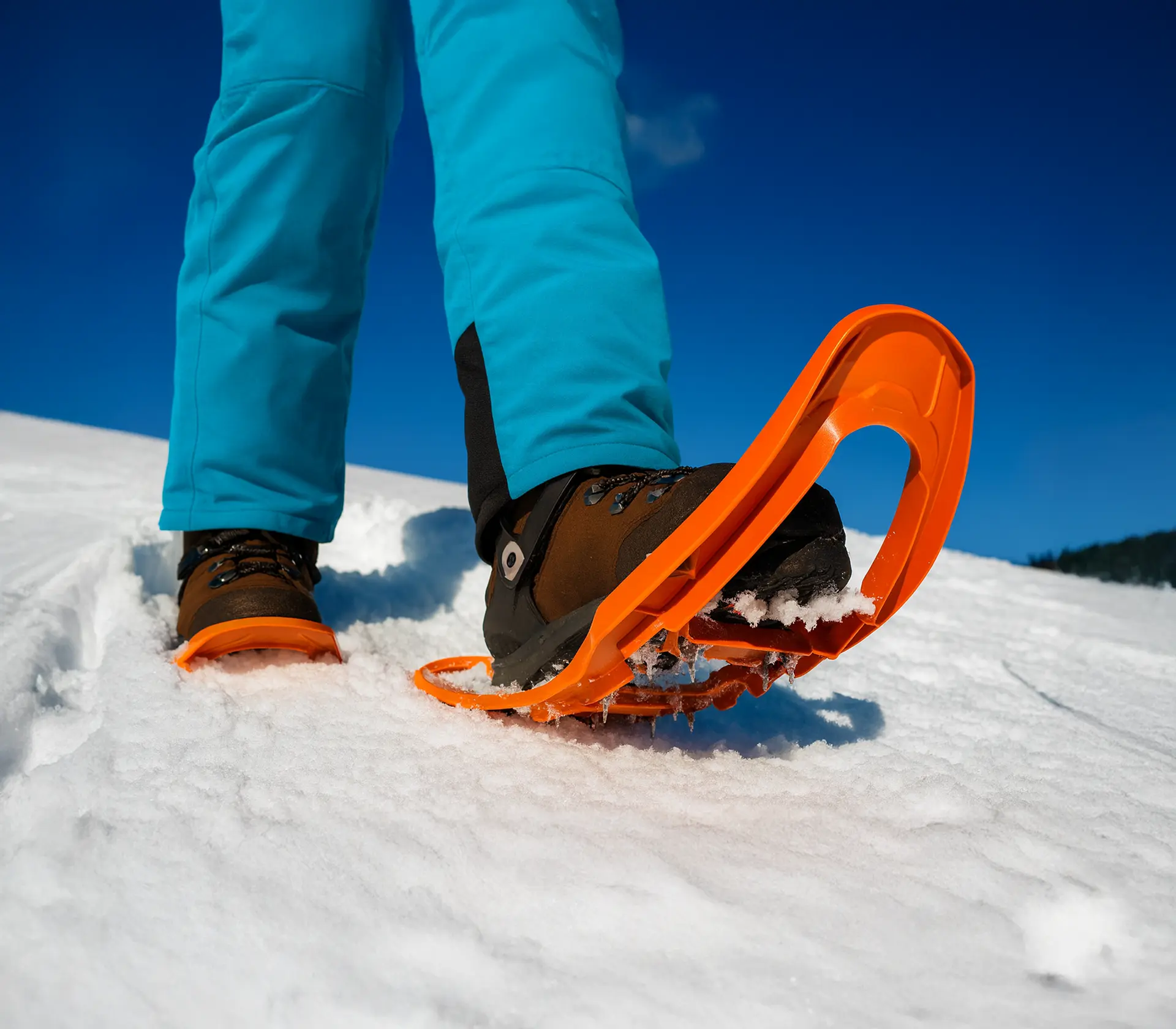 Raquetas de Nieve